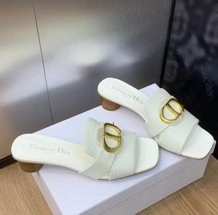 hype Christian Dior Slippers