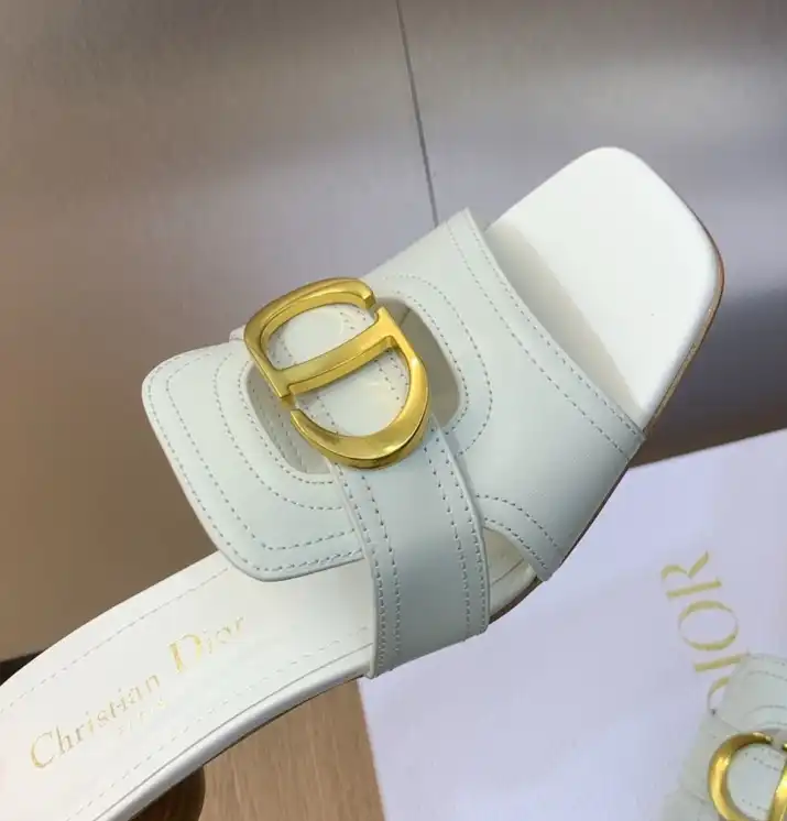 hype Christian Dior Slippers