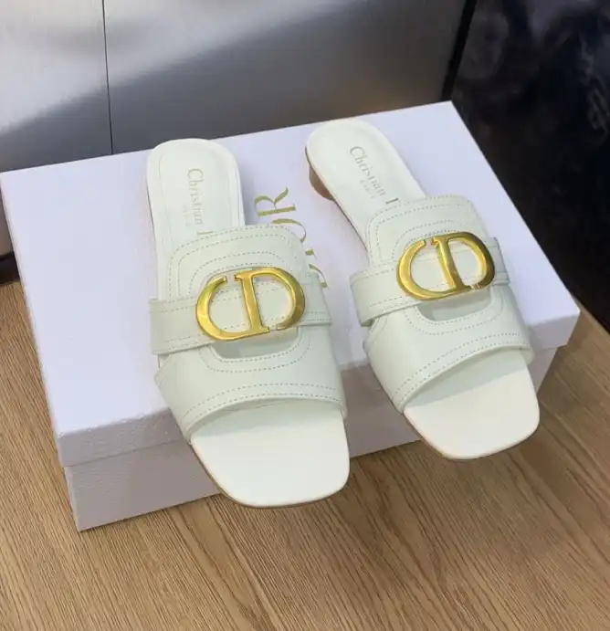 hype Christian Dior Slippers