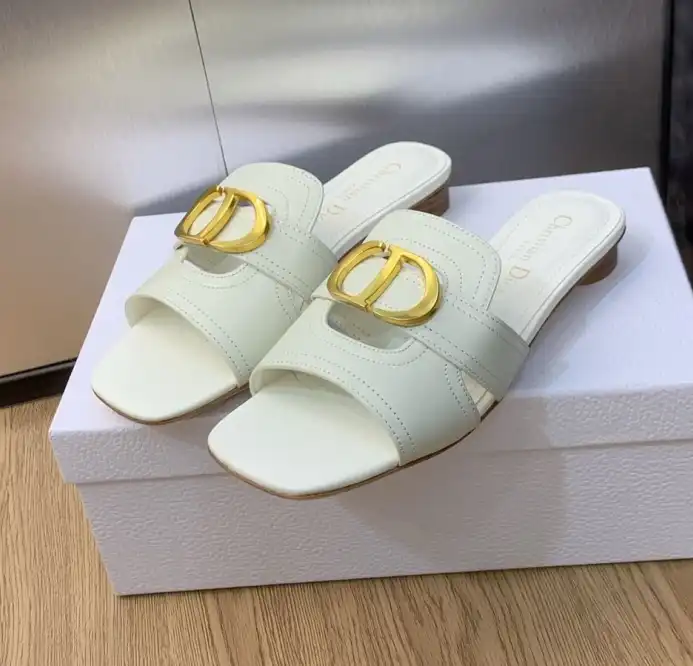 hype Christian Dior Slippers