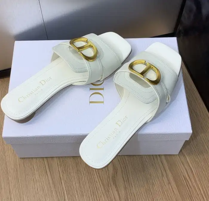 hype Christian Dior Slippers