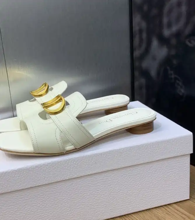 hype Christian Dior Slippers