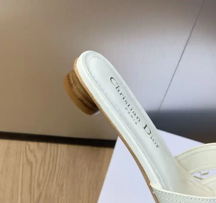 hype Christian Dior Slippers