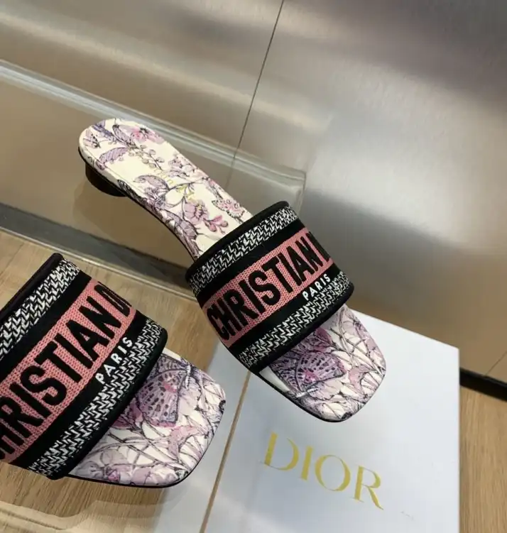 hype Christian Dior Slippers