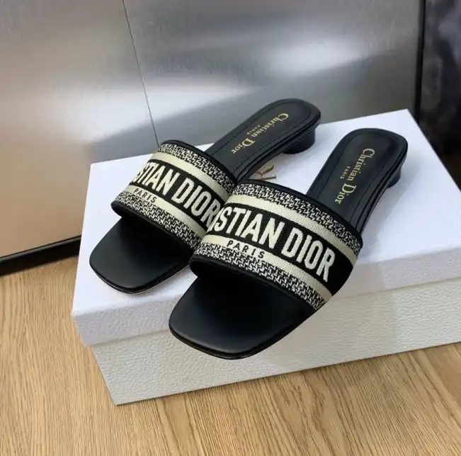 hype Christian Dior Slippers