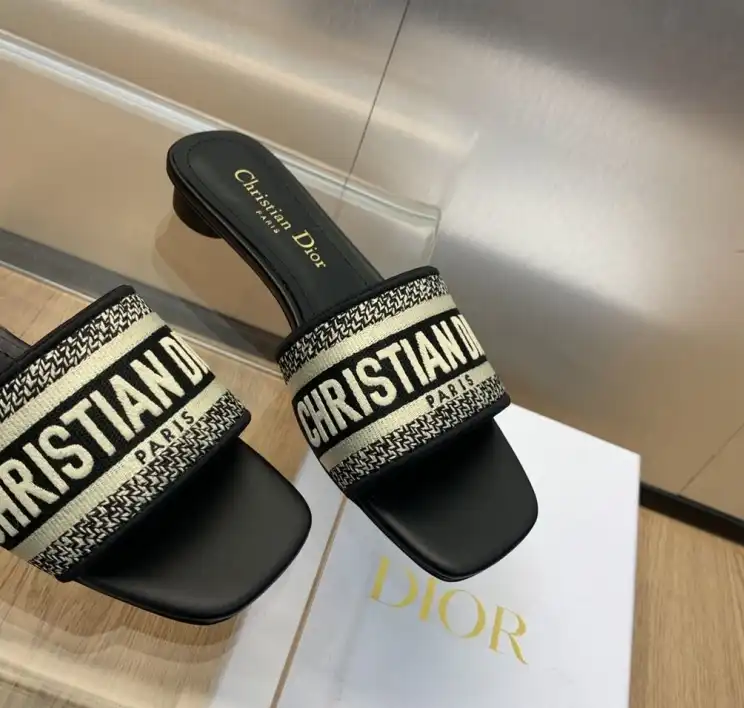 hype Christian Dior Slippers