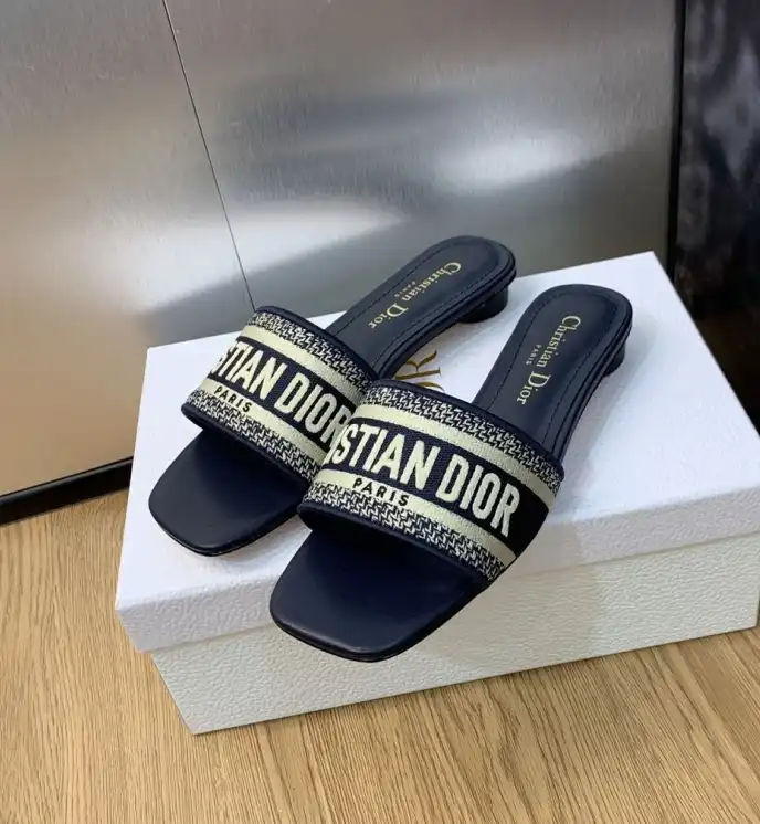 hype Christian Dior Slippers