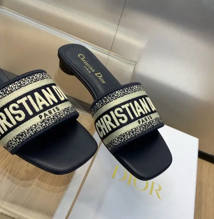 hype Christian Dior Slippers