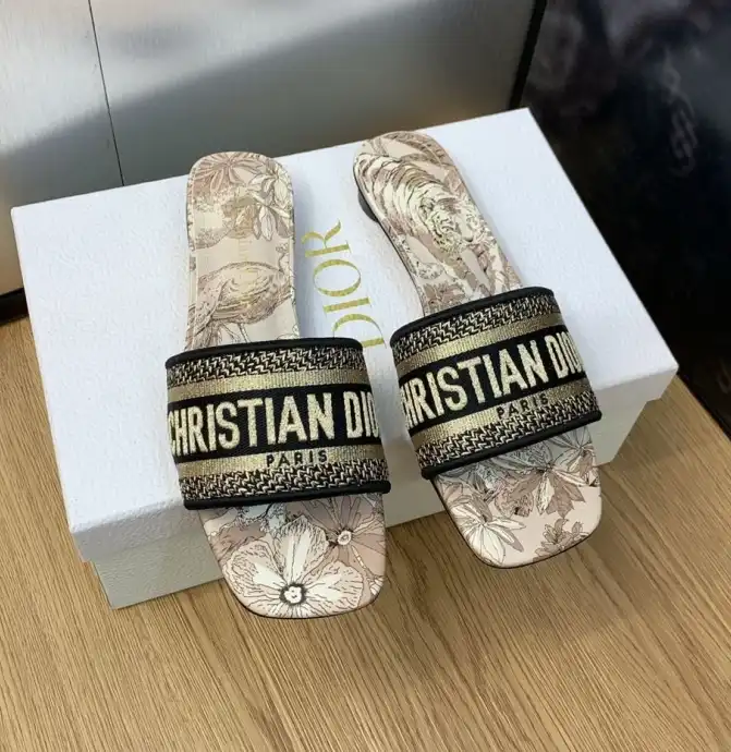 hype Christian Dior Slippers