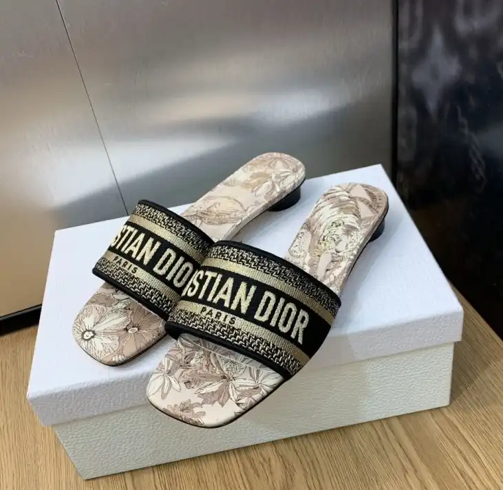 hype Christian Dior Slippers