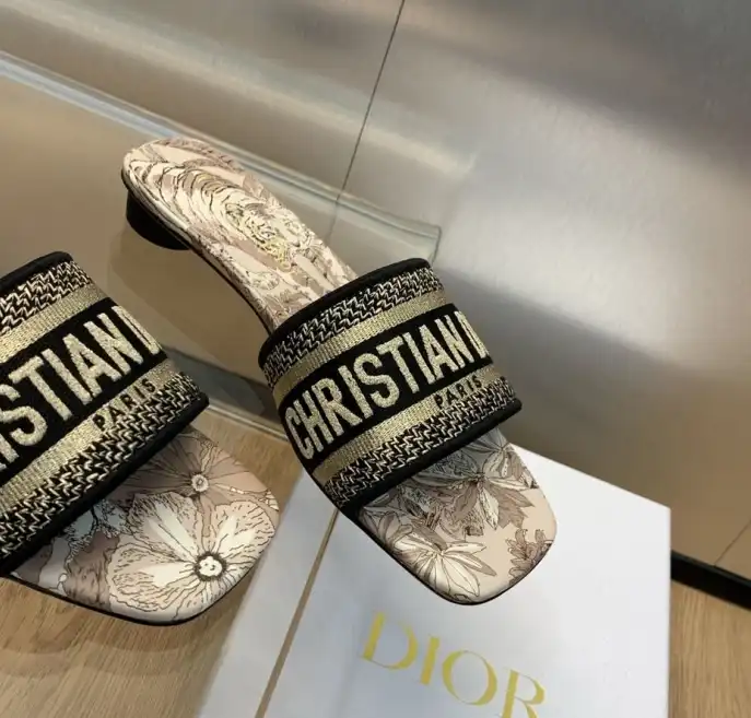 hype Christian Dior Slippers