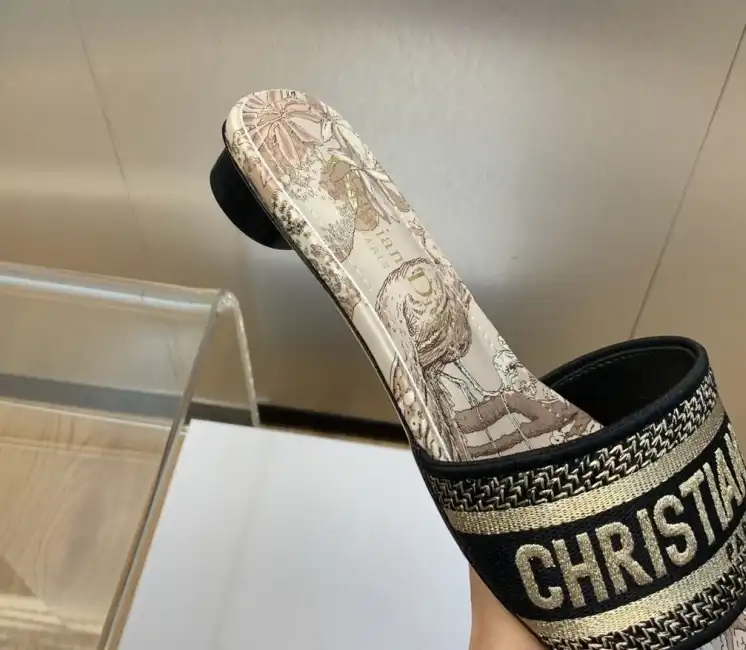 hype Christian Dior Slippers