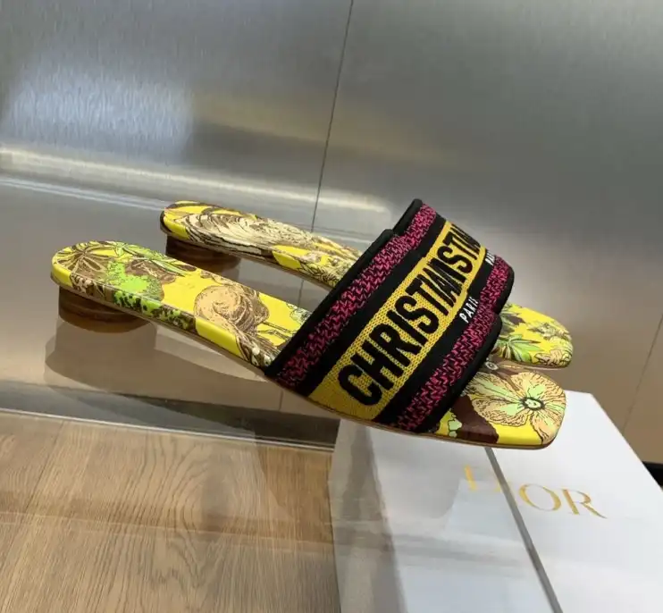 hype Christian Dior Slippers