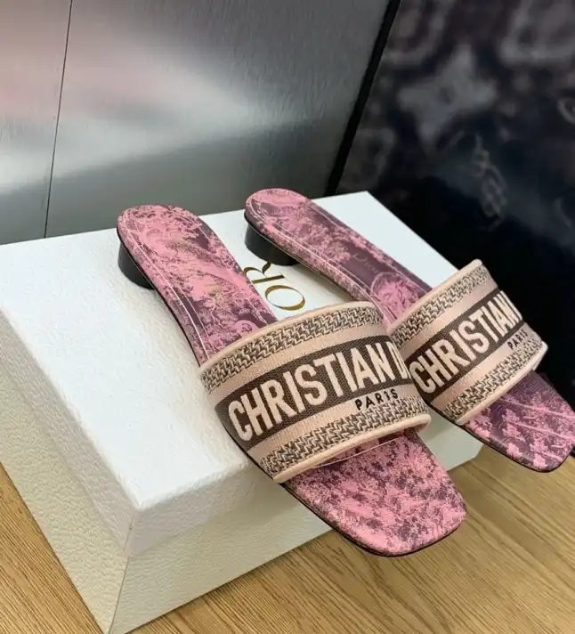 hype Christian Dior Slippers