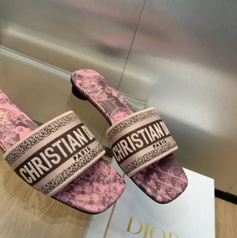 hype Christian Dior Slippers