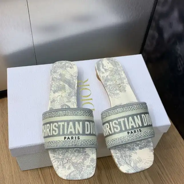 hype Christian Dior Slippers