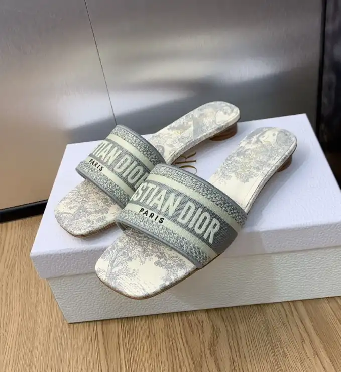 hype Christian Dior Slippers