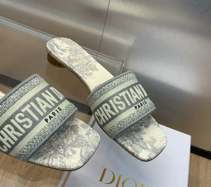 hype Christian Dior Slippers