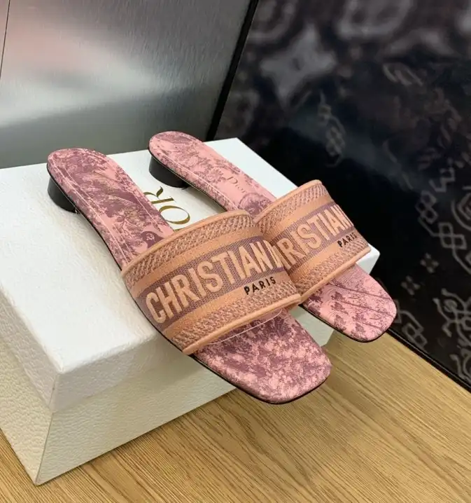 hype Christian Dior Slippers