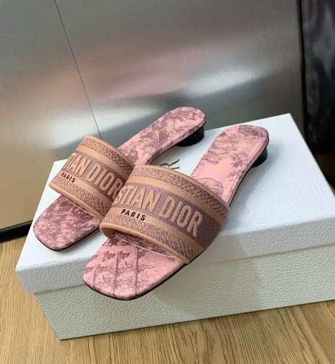 hype Christian Dior Slippers