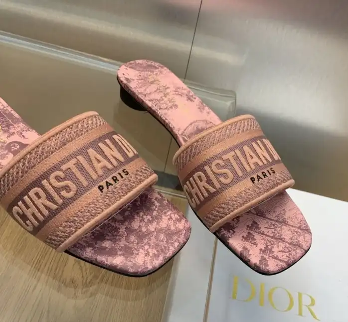 hype Christian Dior Slippers