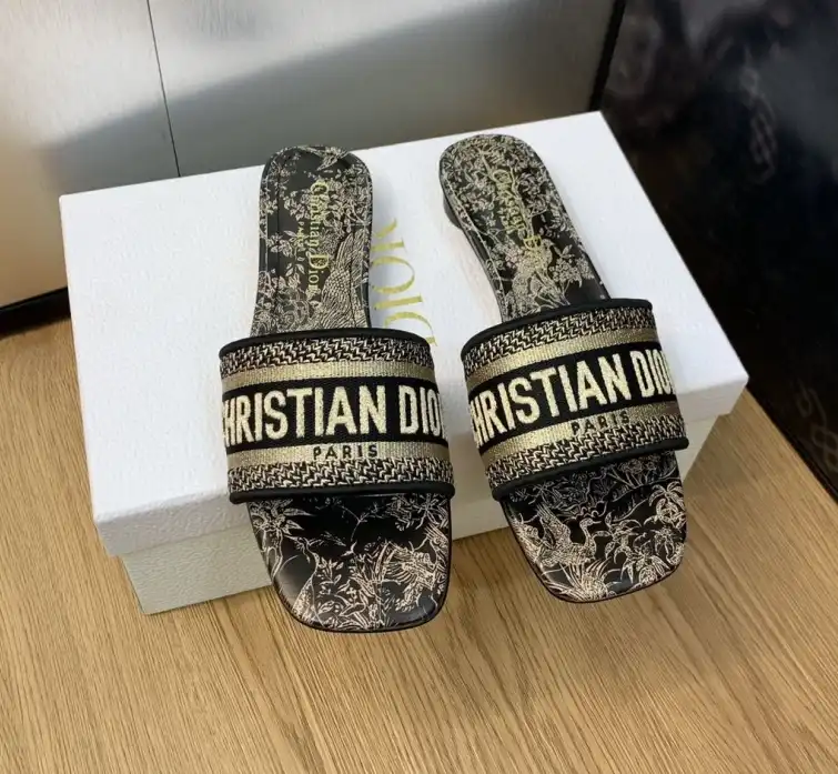 hype Christian Dior Slippers