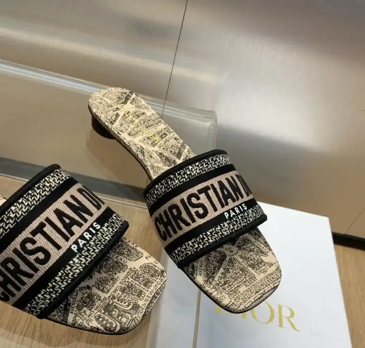 hype Christian Dior Slippers