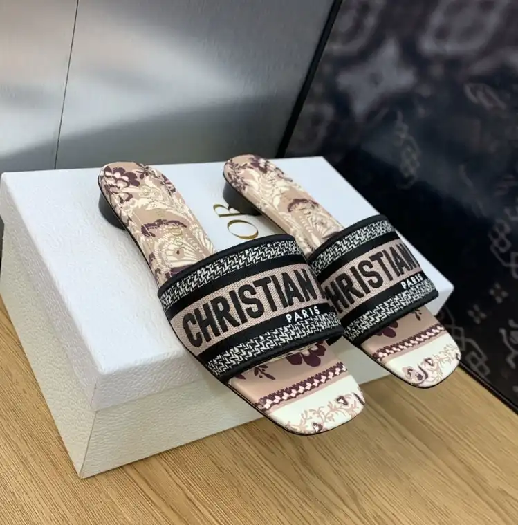 hype Christian Dior Slippers