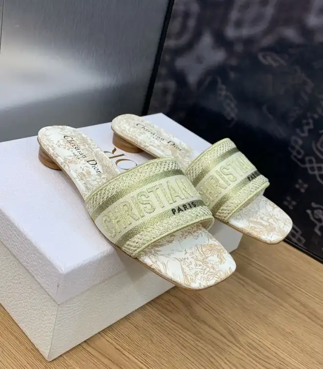 hype Christian Dior Slippers