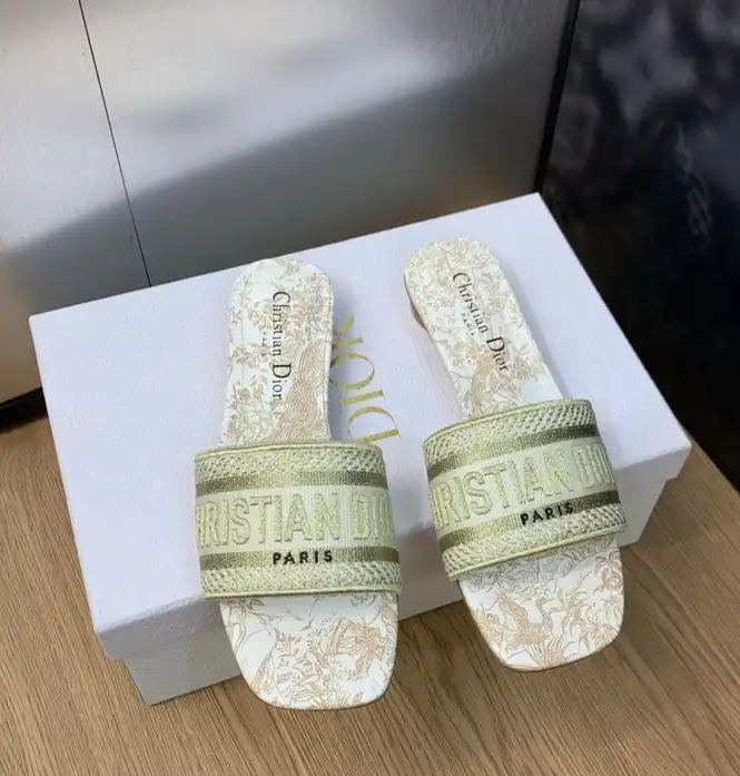 hype Christian Dior Slippers