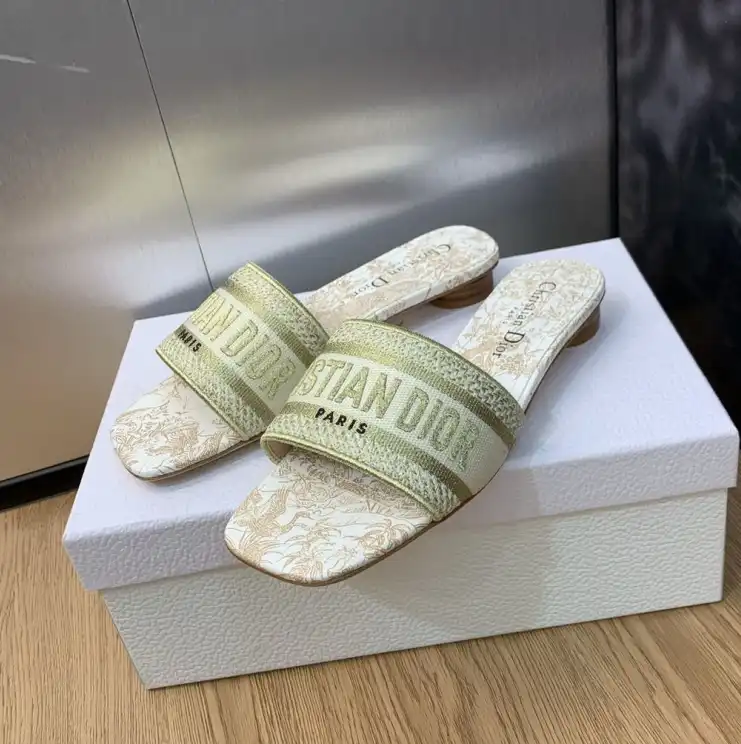 hype Christian Dior Slippers