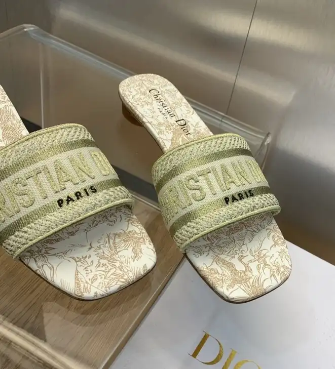 hype Christian Dior Slippers