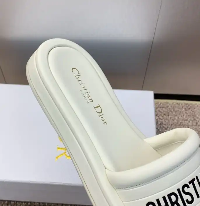 hype Christian Dior Slippers