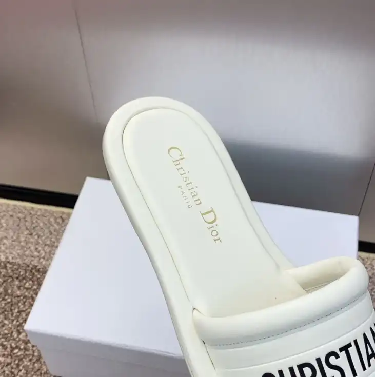 hype Christian Dior Slippers