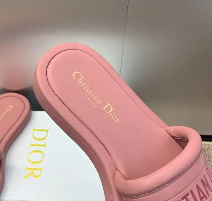 hype Christian Dior Slippers