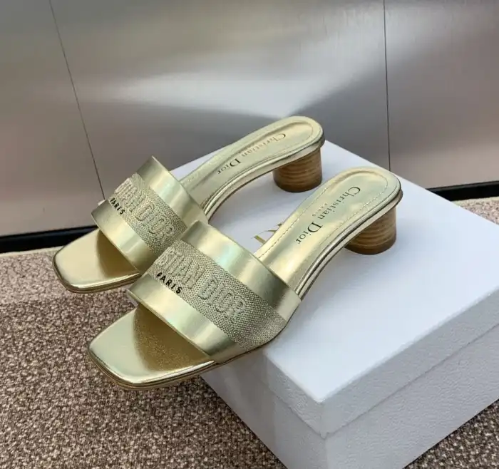 hype Christian Dior Slippers