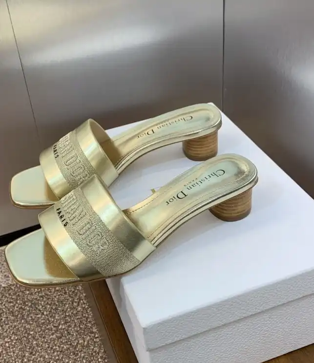 hype Christian Dior Slippers