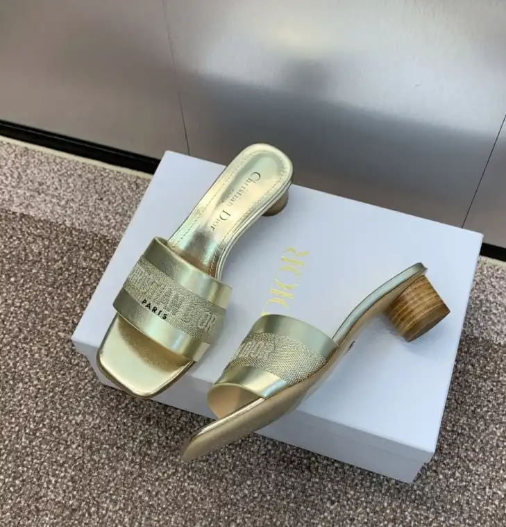 hype Christian Dior Slippers