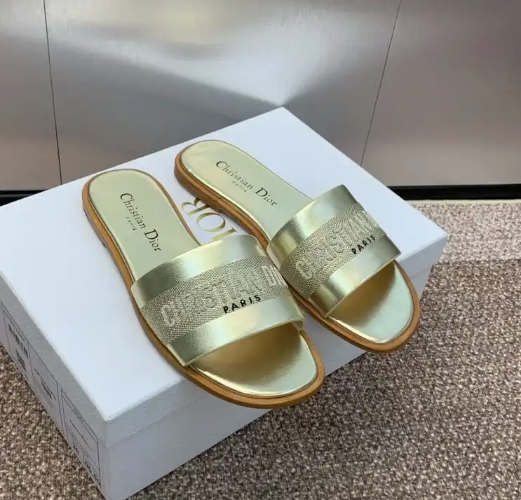 hype Christian Dior Slippers