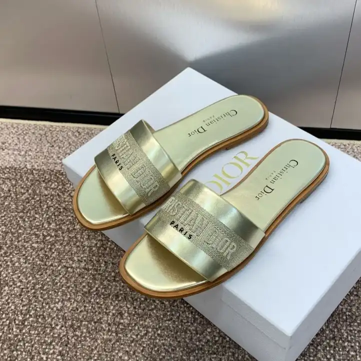 hype Christian Dior Slippers