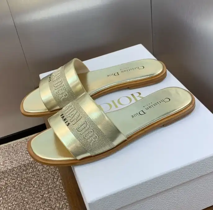 hype Christian Dior Slippers