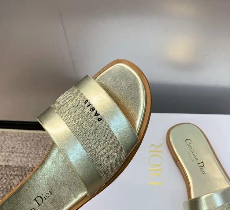 hype Christian Dior Slippers