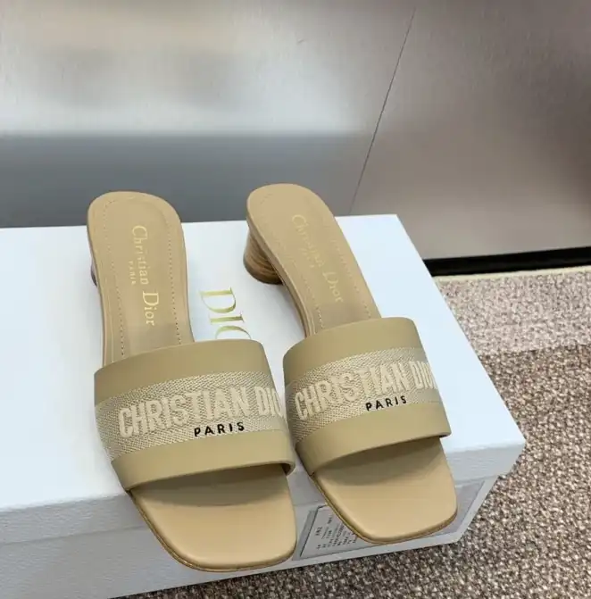 hype Christian Dior Slippers