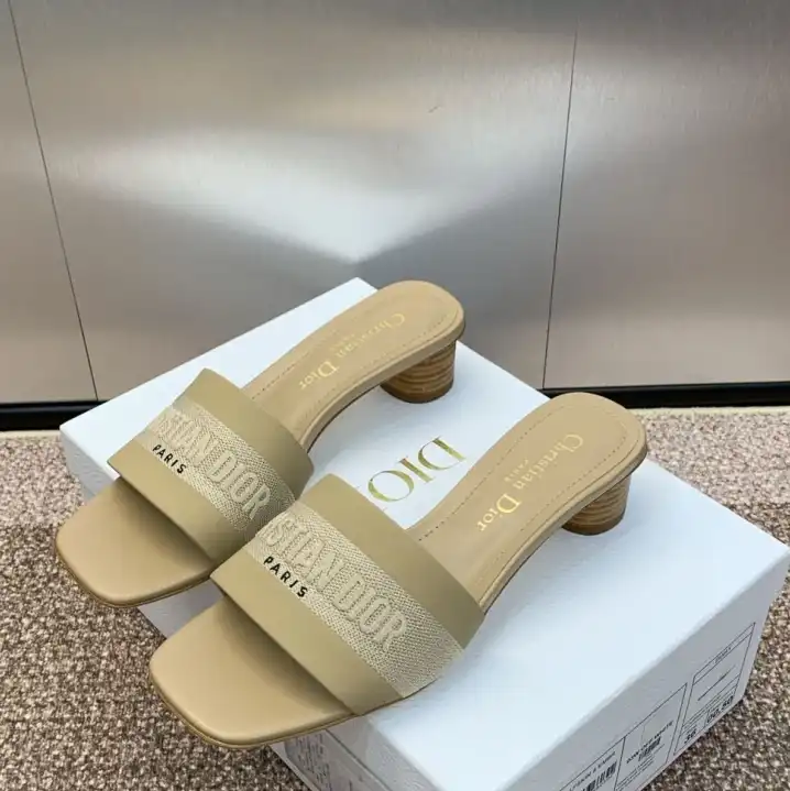 hype Christian Dior Slippers