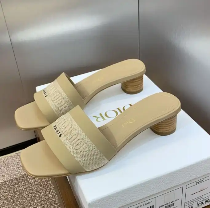 hype Christian Dior Slippers