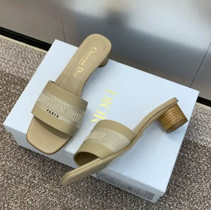 hype Christian Dior Slippers