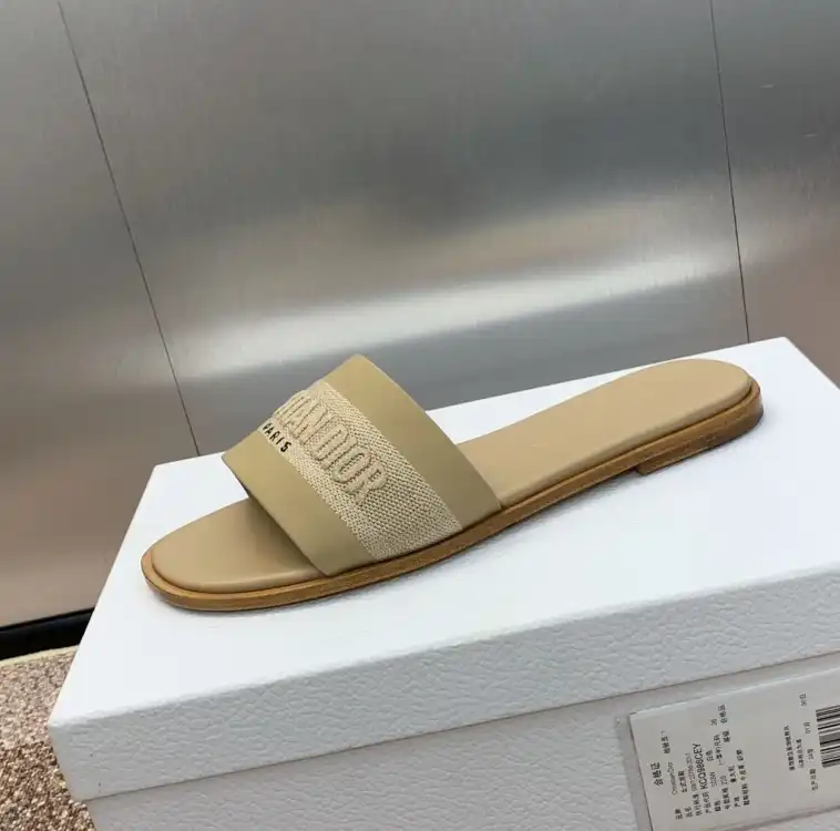 hype Christian Dior Slippers