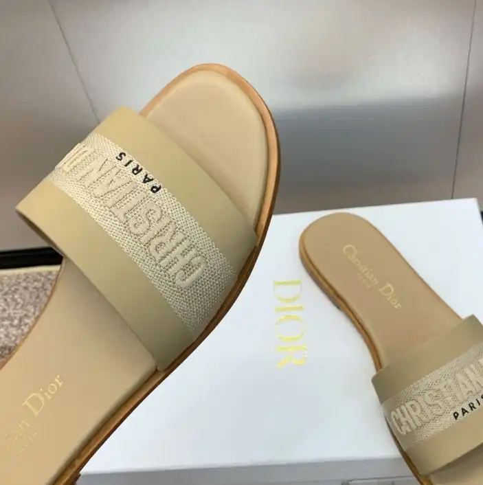 hype Christian Dior Slippers