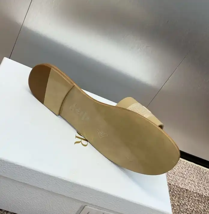 hype Christian Dior Slippers