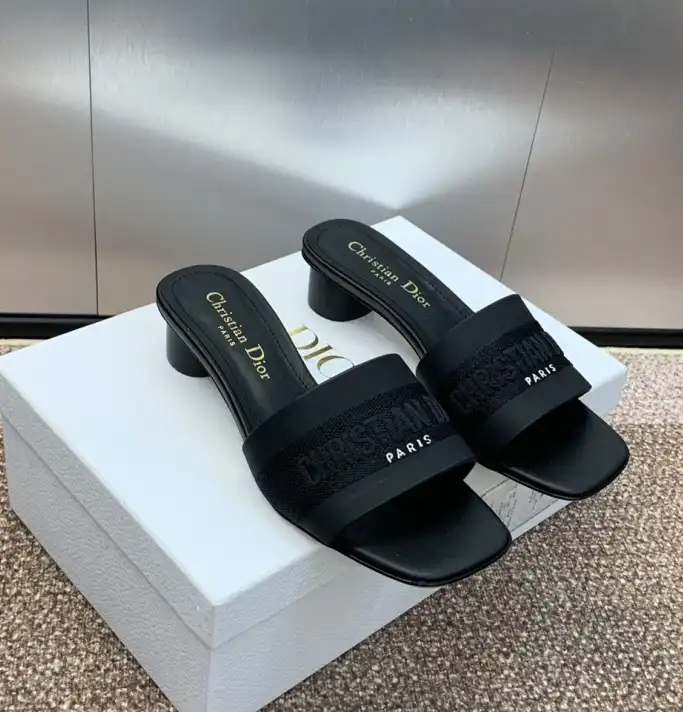 hype Christian Dior Slippers